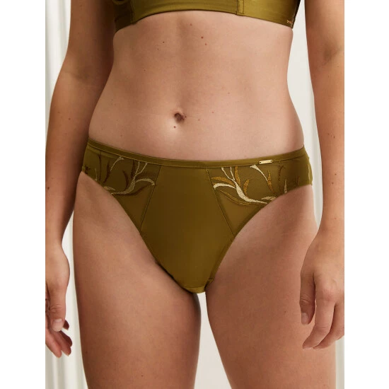 Autograph Amalfi Embroidery High Leg Knickers Lingerie Chartreuse 2 Autograph Amalfi Embroidery High Leg Knickers Lingerie Chartreuse - Image 2
